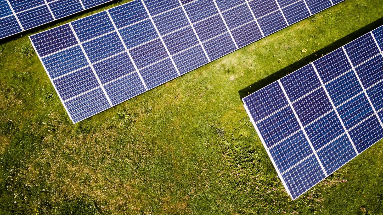 Campo solare in produzione